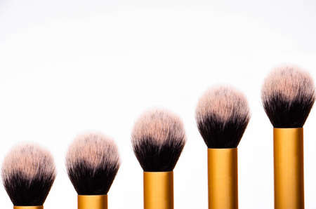 Large fluffy makeup brush with gold pen and black edge. The tips of the upper part of the brush from...
