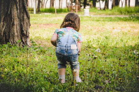 May 2020. Kiev Ukraine. A little girl plays outside in a park, collects plants on a sunny day in...