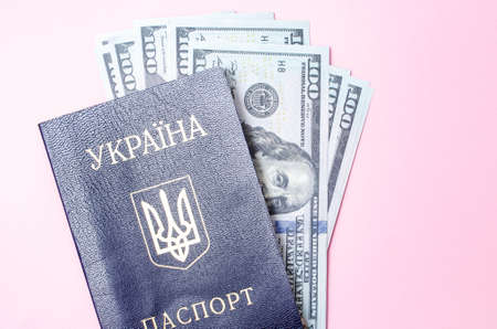 Ukrainian passport on a pink background. $ 100 dollars are inside the passport at different angles