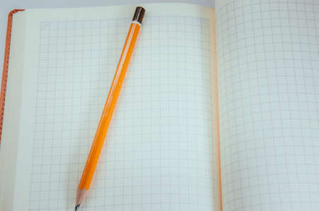 Men's hands, forearm hold a pen, notebook, smartphone. Hands write in notebook in a cell ideas, plans, tasks. Kick on a notebook, break, bend. CopySpace Copy Space Orange, diary. Work with tasks.の写真素材