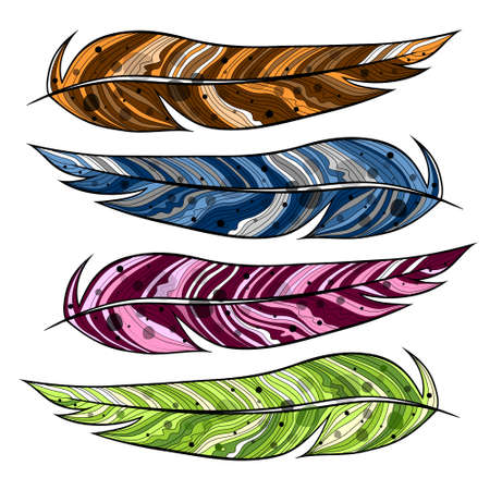 color feather of a bird. Vector illustrationのイラスト素材
