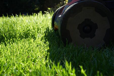 mowing the lawn in full sunの写真素材