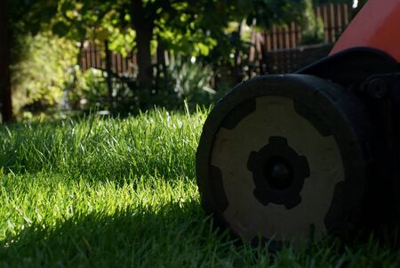 mowing the lawn in full sun