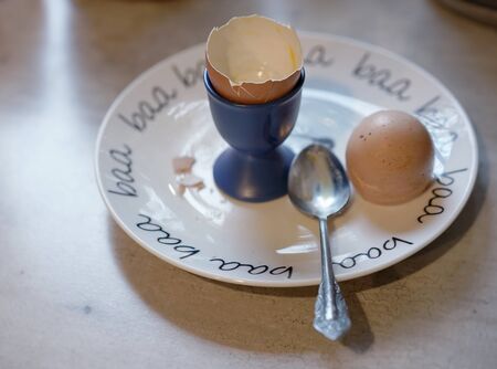 end of meal - empty egg shell on a plate