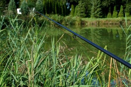 fishing on the pond in summer - rods and water