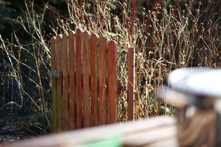 autumn in the countryside in Greater Poland - view from the terrace onto a wooden gateの写真素材