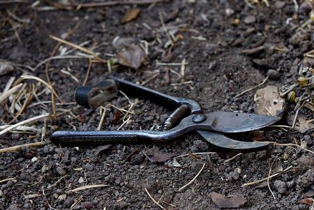 old metal pruner lying on ground