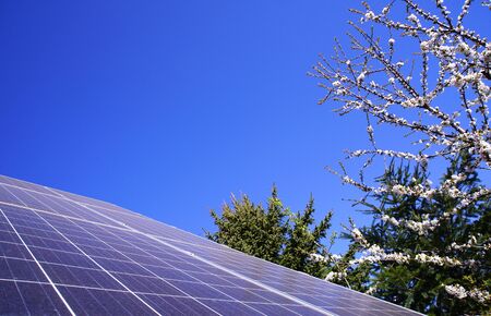 photovoltaic roof panels and fruit tree flowers