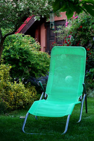 empty sunbed on the grass in the backyard gardenの写真素材