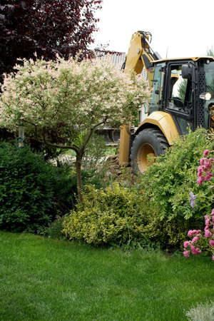 backyard garden and excavator in the background