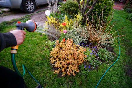 watering the garden in the springの写真素材