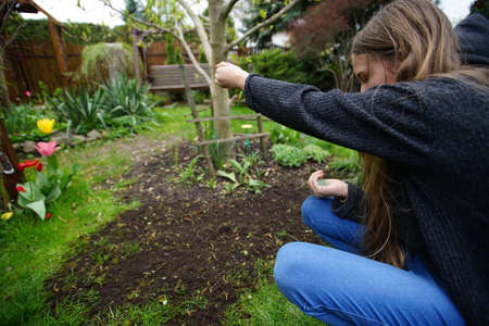 a girl sows grass in her home gardenの写真素材