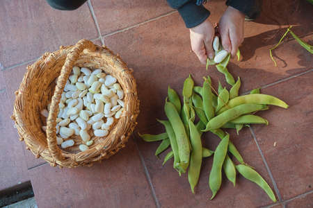 manual shelling of beans on the terrace of a country house