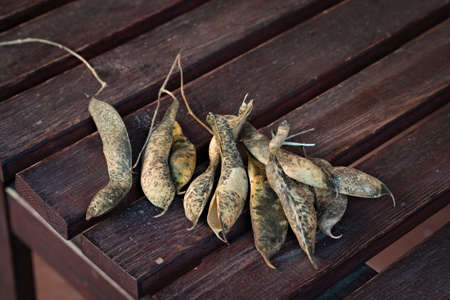 Ripe pods of beans on a wooden table