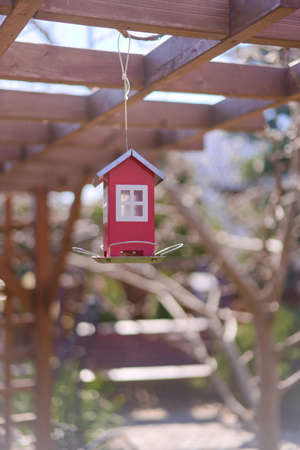 Red feeder for birds in the shape of a house hanging from the roof of pergolaの写真素材