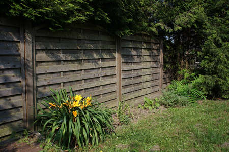 Wall with old wooden boards in the garden in the summer