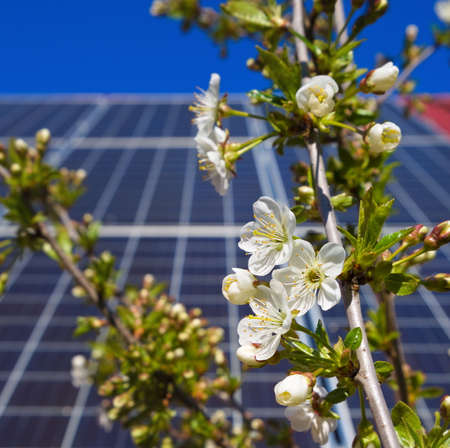 Cherry flowers on a background of photovoltaic panels on the roof of a rural house