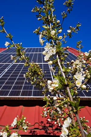 Photovoltaic panels on the roof of a rural house with trees