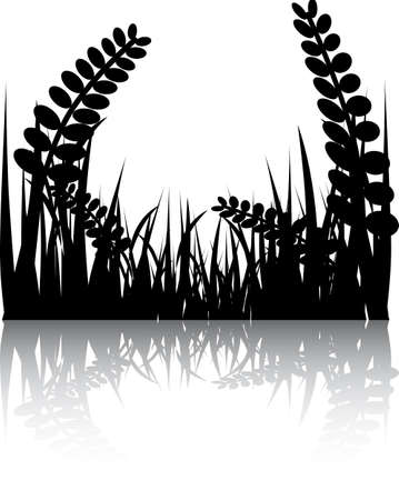 Night natural landscape at waterのイラスト素材