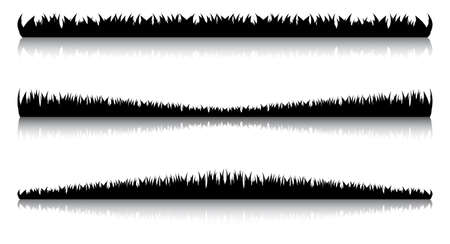 Some variants of an illustration with the image of a grass about water at nightのイラスト素材