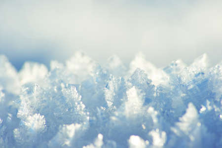 Spring ice. Shallow DOF.の写真素材