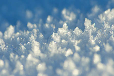Spring ice. Shallow DOF.