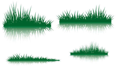 Silhouettes of grass with the reflection. Illustration conducted was used as the dummies for your composition.のイラスト素材