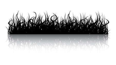 Grass with the reflection. Illustration conducted was used as the dummies for your composition.のイラスト素材