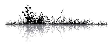 Grass with the reflection. Illustration conducted was used as the dummies for your composition.のイラスト素材