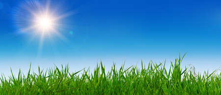 Landscape in the warm summer weather. Nice background.の写真素材