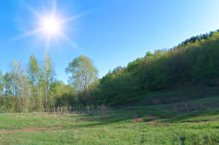 Landscape in the warm summer weather.の写真素材