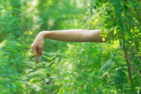 Hand of woman pointing down. Photo from the abstract sense.