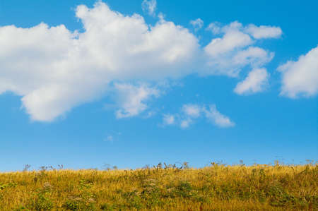 Dry season. Autumn. Background on the times of the year.の写真素材
