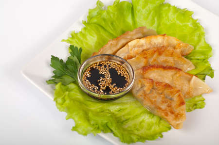 Japanese traditional gyoza on a white plateの写真素材