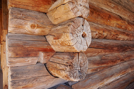 Old wooden wall of logs. Corner joint felling from the forestの写真素材