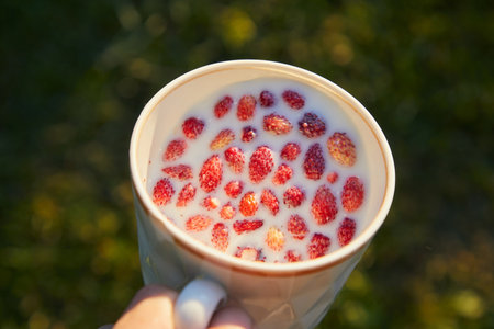 Strawberries with milk in a cupの写真素材