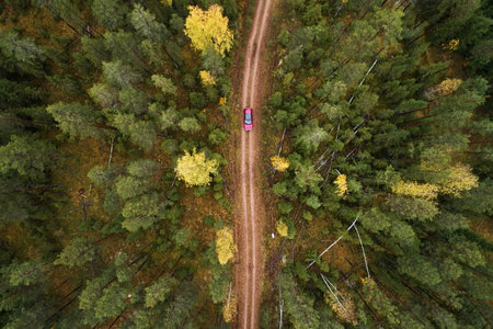 Top view of the road with a car in the autumn yellow and green forest. Aerial photographyの写真素材