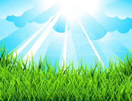 Spring background with green field and blue sky.のイラスト素材