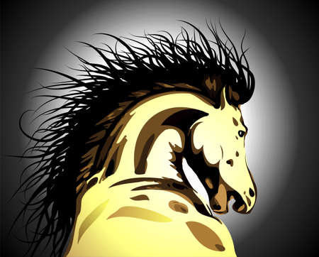 horse illustrationのイラスト素材