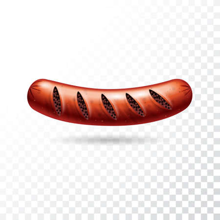 Illustration with grilled Sausage on transparent.のイラスト素材