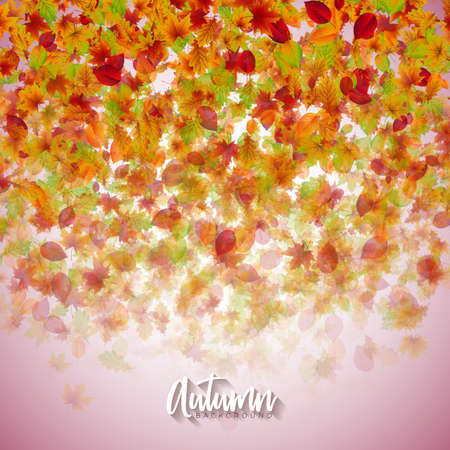 Autumn Illustration with Falling Leaves and Lettering on Clear Background. Autumnal Vector Design for Greeting Card, Banner, Flyer, Invitation, brochure or promotional posterのイラスト素材