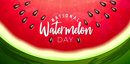 National Watermelon Day Design with Fresh Tropical Fruit Slice on Green Background. August 3 Vector Celebration Holiday Illustration with Typography Letter for Banner, Greeting Card, Flyer, Promotional Poster, Invitation or Brochure.のイラスト素材