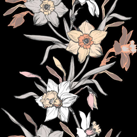 Floral daffodils, narcissus. Monochrome floral elements on black background. Vector Illustrationのイラスト素材