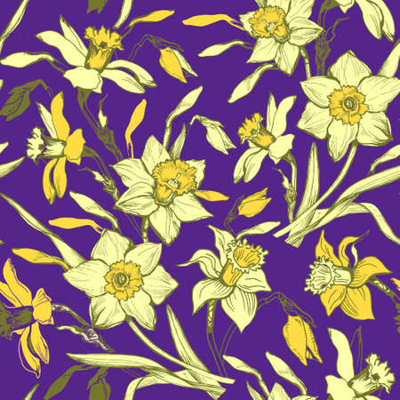 Floral pattern with daffodils, narcissus. Bright yellow floral elements on violet background. Vector Illustrationのイラスト素材