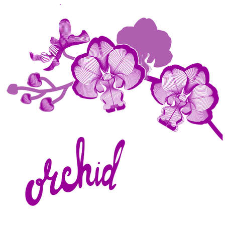 Calligraphy phrase. Brush pen lettering. Can be used for printing, greeting card, creating card, postcard. Vector illustration.のイラスト素材