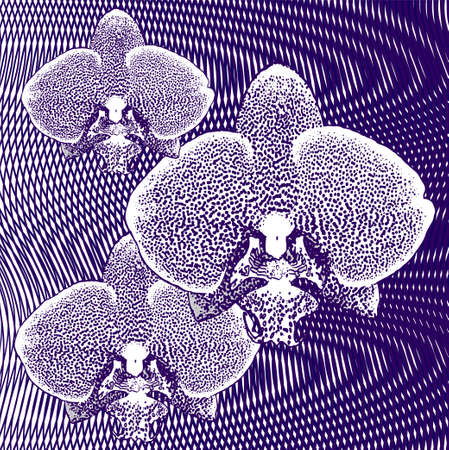 Exotic tropical flowers on geometric linear psychedelic abstract background, Mono color amazing floral poster with motley orchids in phantom blue halftones.のイラスト素材