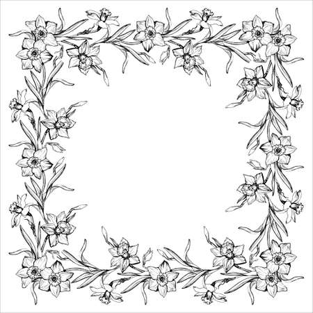 Floral border in square frame of wreath with outline hand drawn Narcissus flowers. Monochrome contour on white background. For create greeting card mockup, wedding invitation. Vector Illustration.のイラスト素材