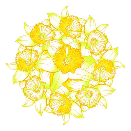 Happy Easter wreath with yellow flowers narcissus, daffodils drawn by hand. Bright colored gradient vector floral element isolated on white background.のイラスト素材