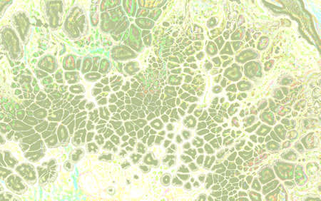 Light monochrome abstract texture with acrylic Fluid Art bubbles effect. Perfect for business card,...