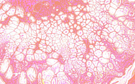 Sensual light pink abstract bubbles texture with mesh effect in modern fluid art. Perfect for...